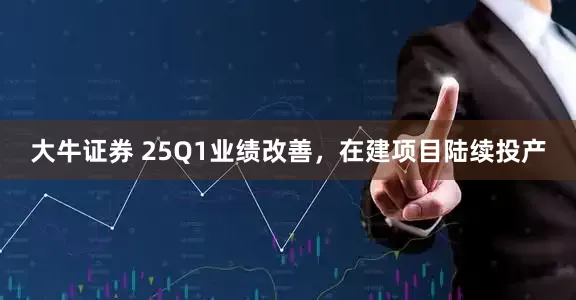 大牛证券 25Q1业绩改善,在建项目陆续投产