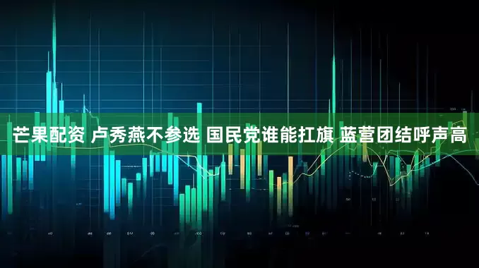 芒果配资 卢秀燕不参选 国民党谁能扛旗 蓝营团结呼声高